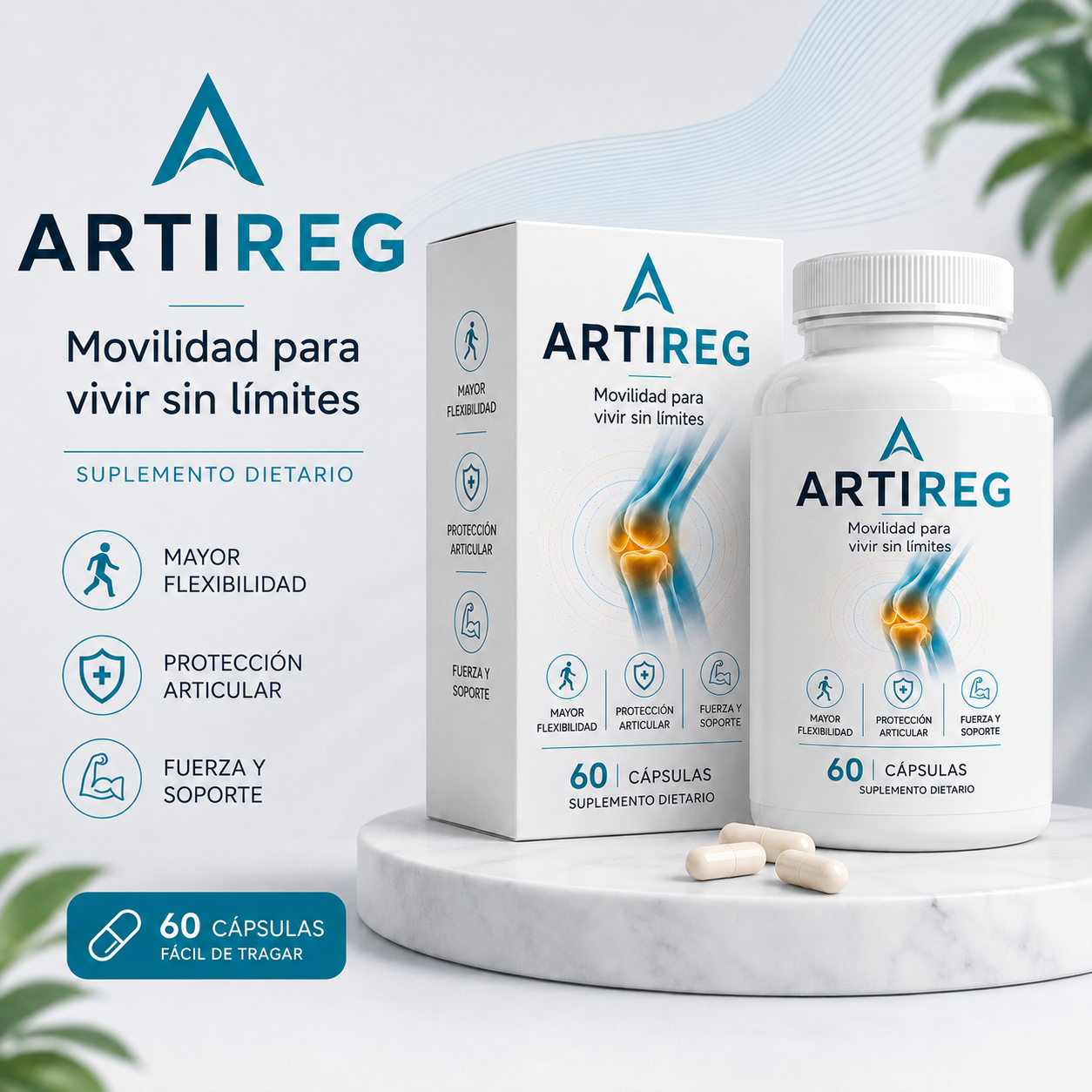 Artireg | Movilidad para vivir sin limites
