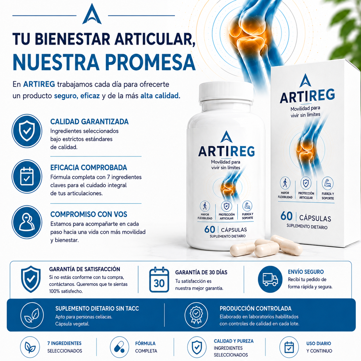 Artireg | Movilidad para vivir sin limites
