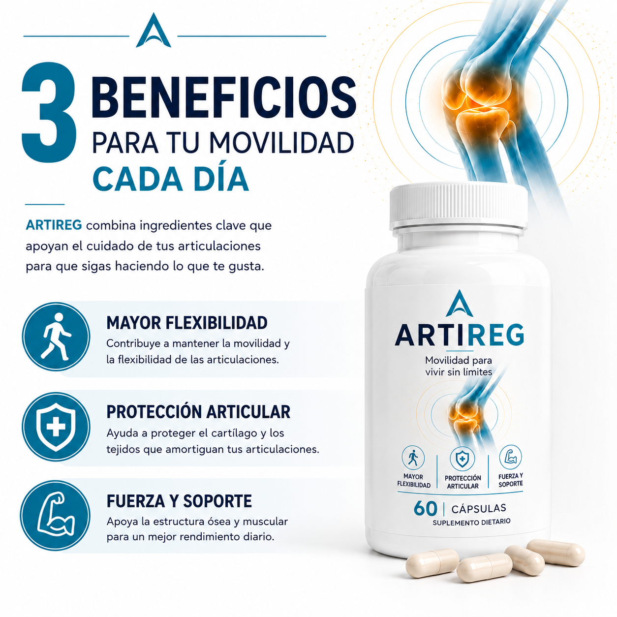 Artireg | Movilidad para vivir sin limites