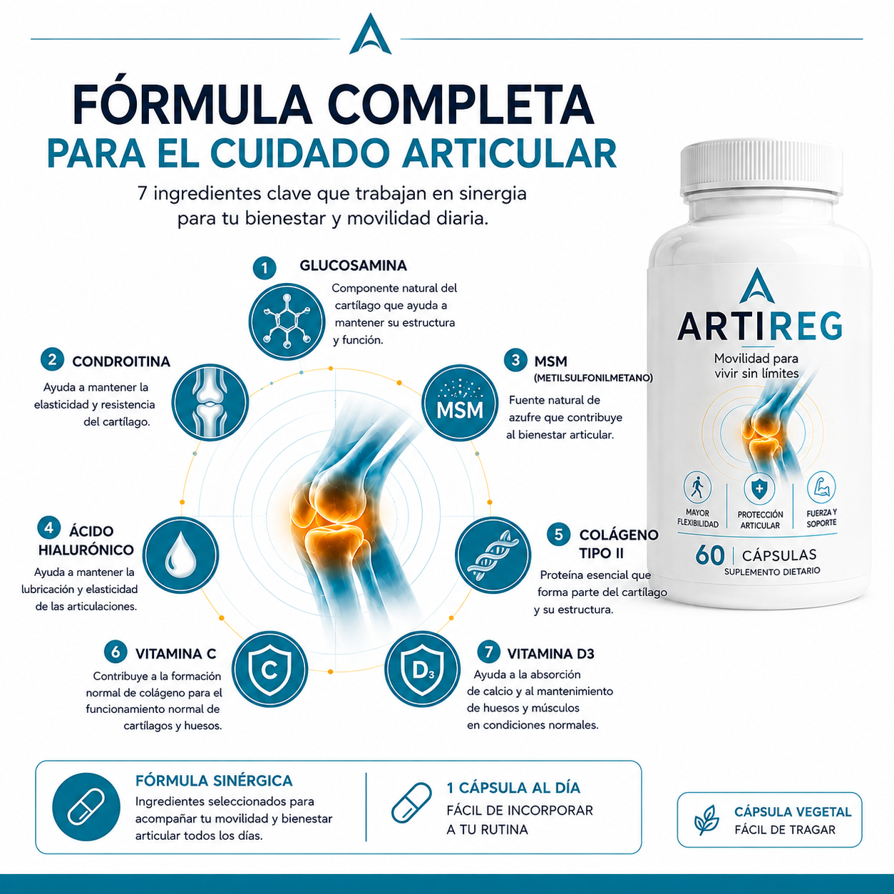Artireg | Movilidad para vivir sin limites
