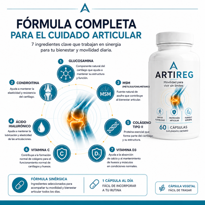 Artireg | Movilidad para vivir sin limites