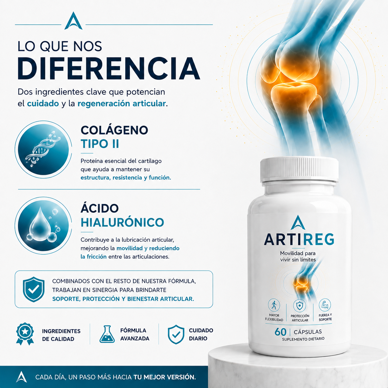 Artireg | Movilidad para vivir sin limites