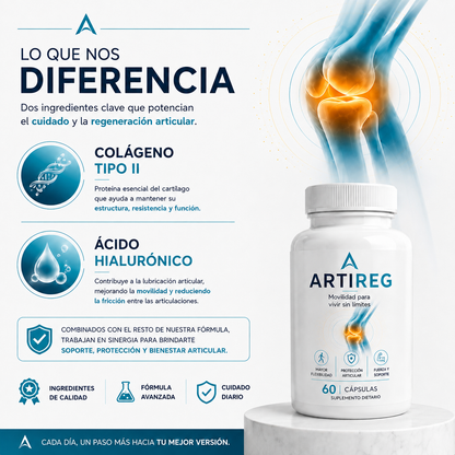 Artireg | Movilidad para vivir sin limites