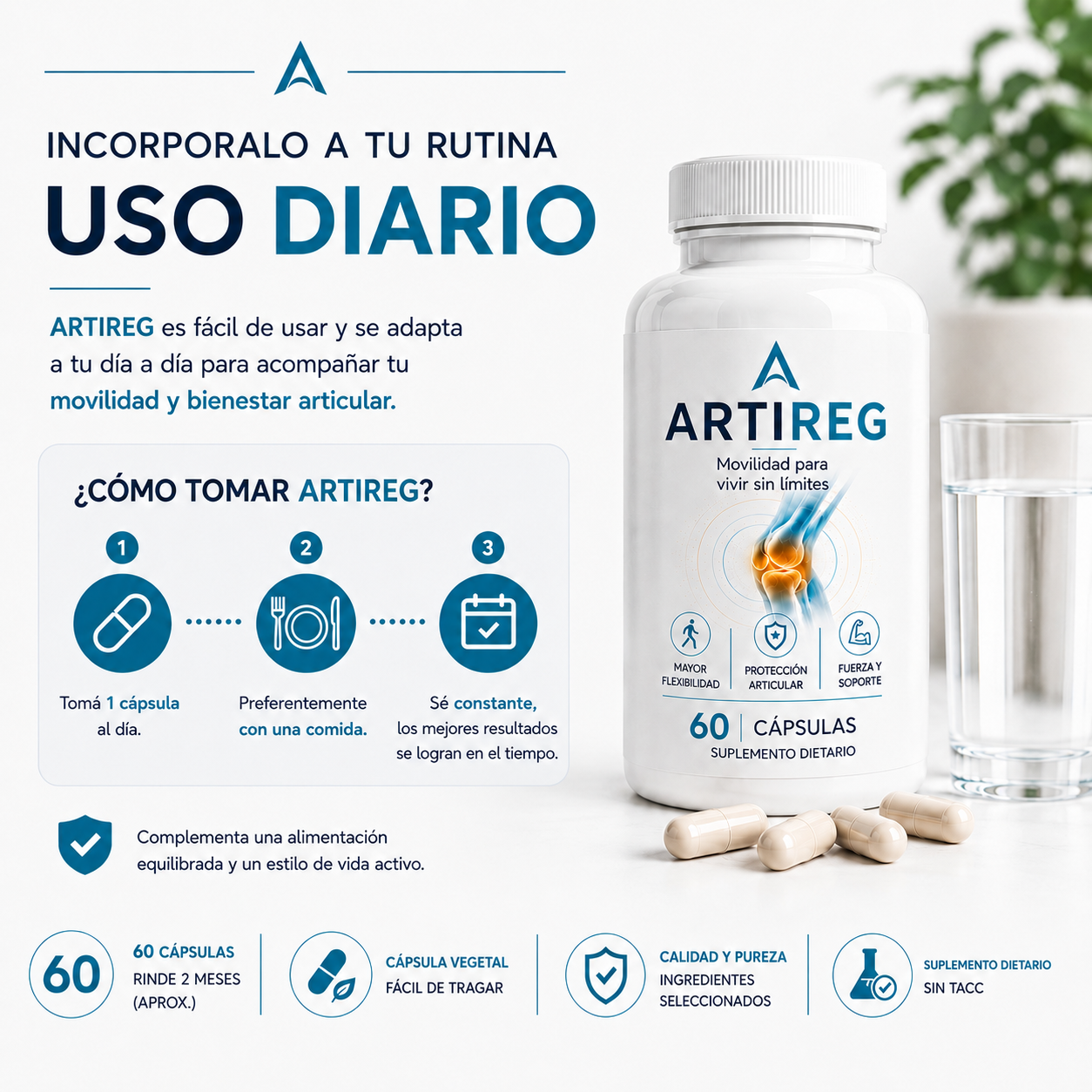 Artireg | Movilidad para vivir sin limites